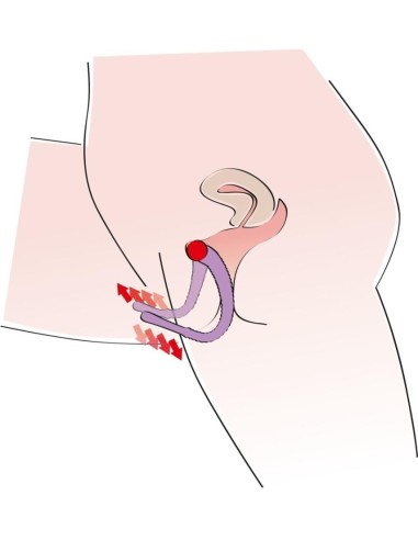 Intimate Spreader Purple