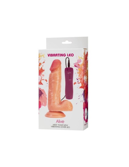 LEO MOTOR - VIBRATING