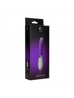 Asopus - Purple