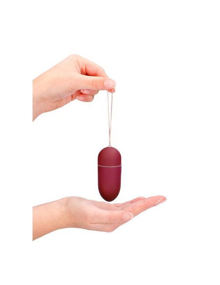 Vibrating Egg - 10 speed - Red