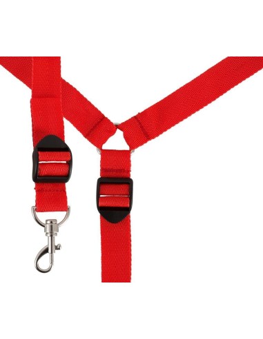 Bad Kitty Bed Restraint Set