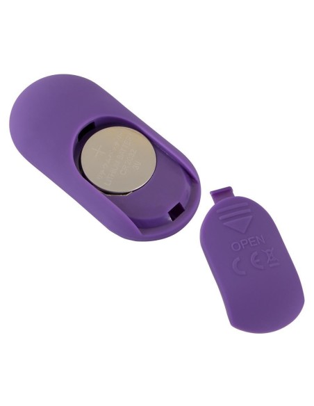 Sweet Smile RC Panty Vibrator