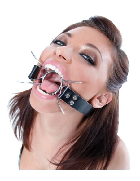 FFE Spider Gag Silver/Black