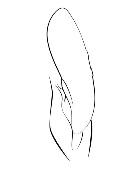 We-Vibe Touch X Crave Coral