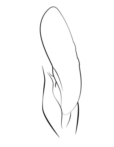 We-Vibe Touch X Green Velvet