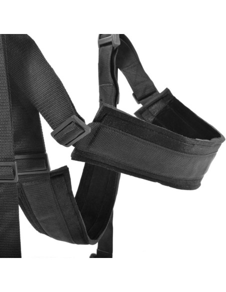 FFS Spinning Fantasy Swing