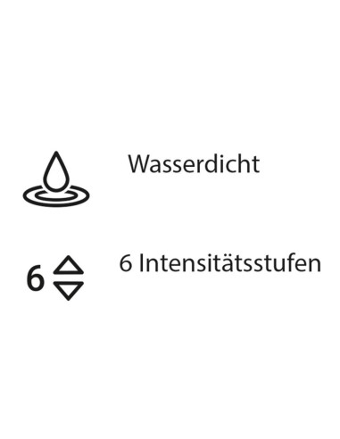 Womanizer Starlet 3 Grey