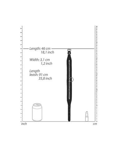 Diamond Studded Collar With Leash - Blak