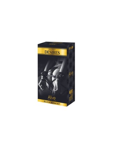 Secret Desires BDSM Kit