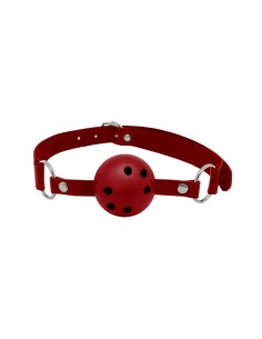 Discretion Red Ball Gag