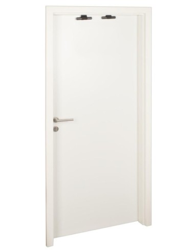 Bad Kitty Door Swing