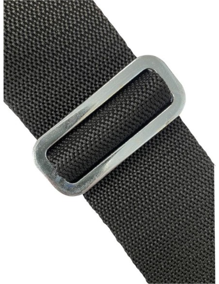 Bad Kitty Door Swing