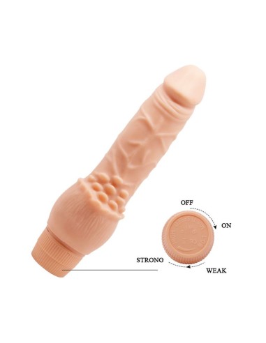 Barbara Clark Realistic Multi-Speed Vibr