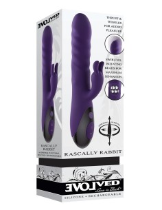 EVOLVED RASCALLY RABBIT