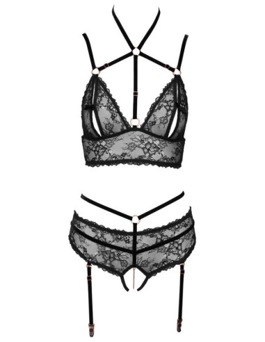 Bra plus Suspender Briefs