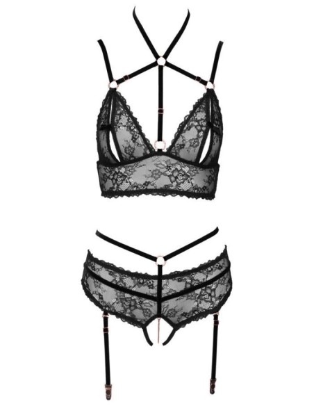 Bra plus Suspender Briefs