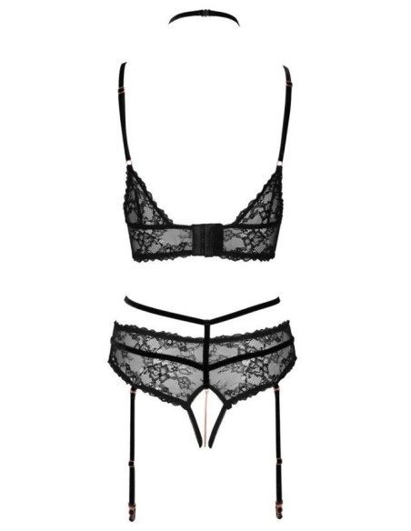 Bra plus Suspender Briefs