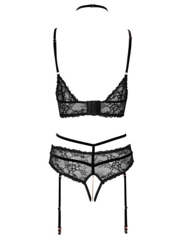 Bra plus Suspender Briefs