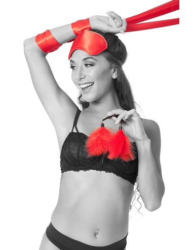 SPORTSHEETS SM AMOR BONDAGE BEGINNER KIT