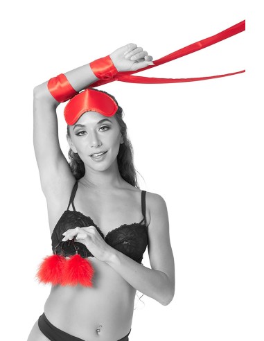 SPORTSHEETS SM AMOR BONDAGE BEGINNER KIT