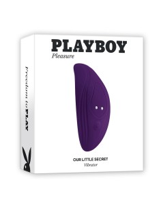 PLAYBOY OUR LITTLE SECRET