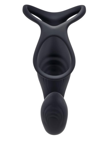 GENDER X THE WRANGLER