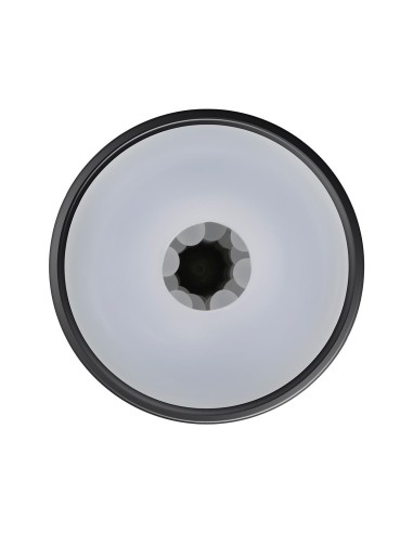 PLAYBOY THE URGE MEDIUM