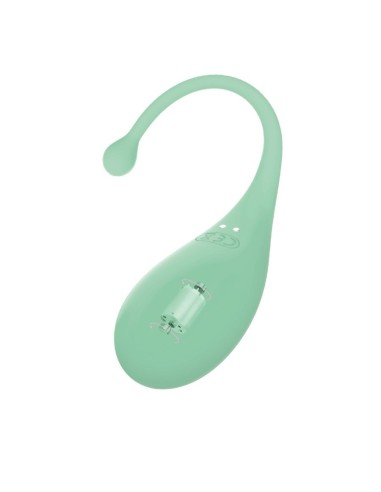 Palpitation + New App - Menta