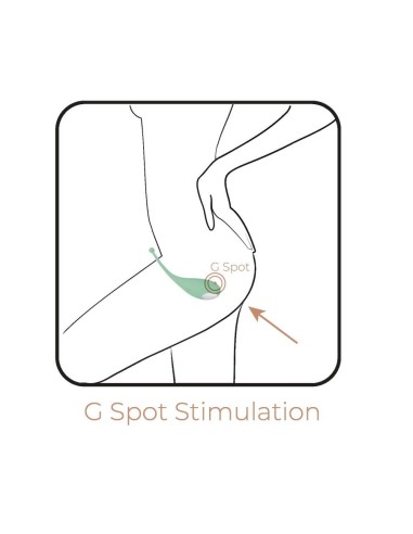 Palpitation + New App - Menta