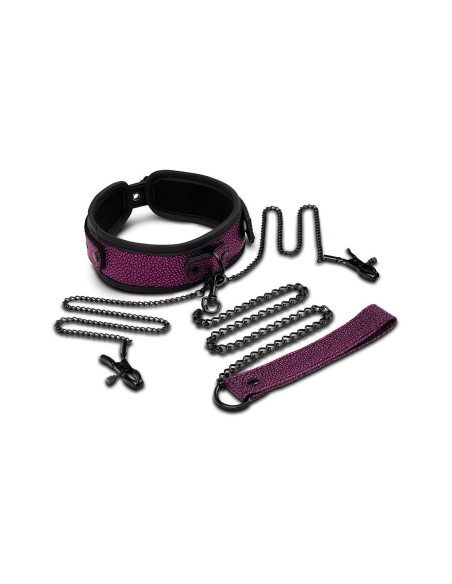 WHIPSMART DRAGON'S LAIR COLLAR, LEASH &