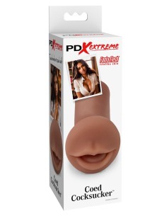 PDXE Coed Cocksucker Brown