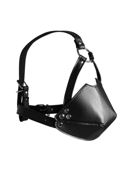 Head Harness with Mouth Cover and Solid