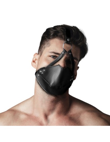 Head Harness with Mouth Cover and Solid