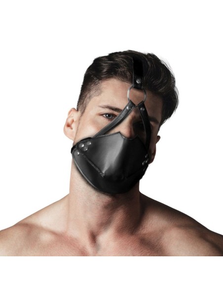 Head Harness with Mouth Cover and Solid