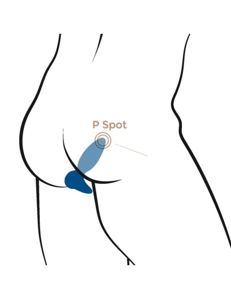 Little Rocket II + APP