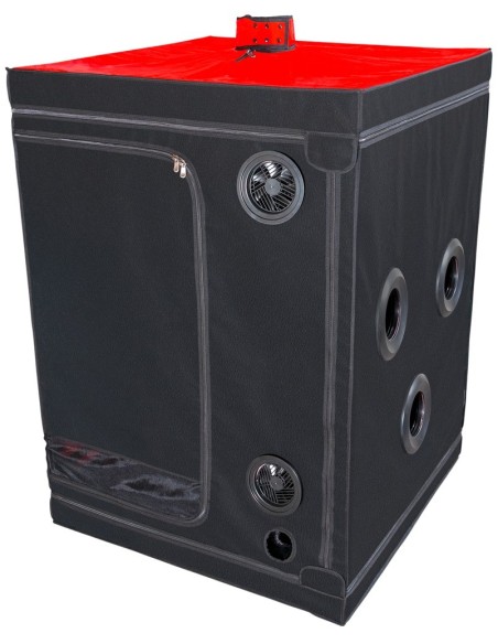 Scandale - Black & Red