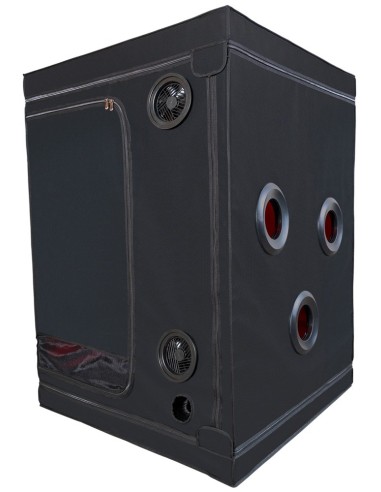 Scandale - Black & Red