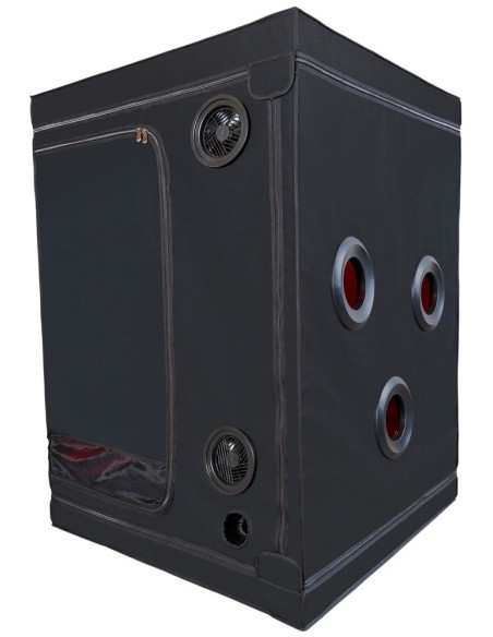 Scandale - Black & Red