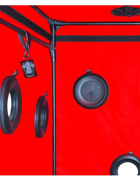 Scandale - Black & Red