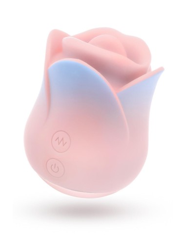 BLUSH COLLECTION KISSING ROSE PINK