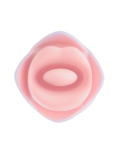 BLUSH COLLECTION KISSING ROSE PINK