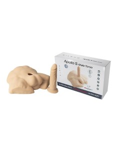 Apollo S Half Male Torso Flesh 2