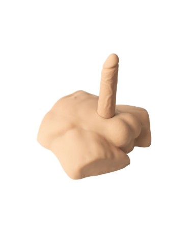 Apollo S Half Male Torso Flesh