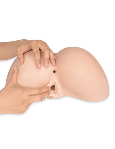 Masturbator Ass Daphne