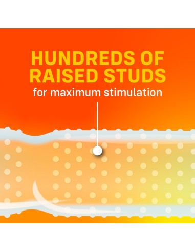 ONE Super Studs x 12