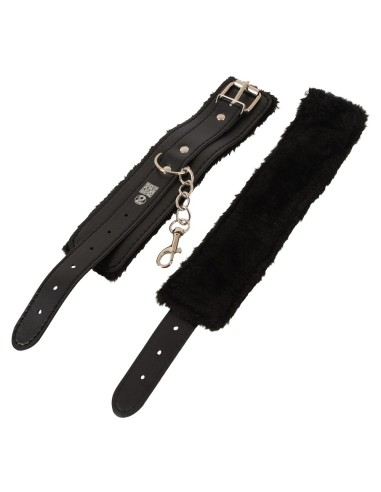 Magic shiver Together