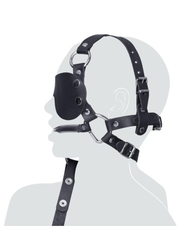 Leather Head Harness + Bit