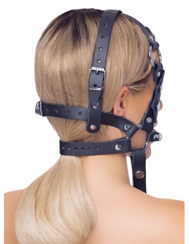Leather Head Harness + Bit