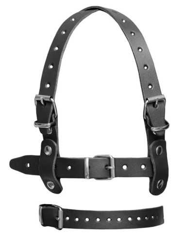 Leather Head Harness + Bit