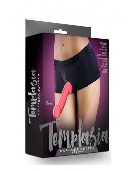 TEMPTASIA HARNESS BRIEFS...